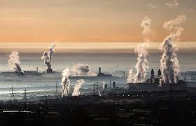Ağır Metaller  Kaynaklı Çevresel Kirlilik
