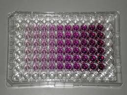 Sitotoksisite ve Hücre Canlılığı Deneylerinde Kolorimetrik Testler