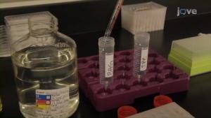 Sitotoksisite ve Hücre Canlılığı Deneylerinde Florometrik Testler