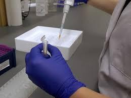 Sitotoksisite ve Hücre Canlılığı Deneylerinde Florometrik Testler