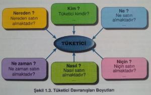 Tüketici Pazarlarının Özellikleri
