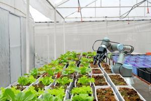 Tarım Robotları ve Faydaları
