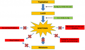 Multipl Sklerozda (MS) Serotonin Düzeyleri