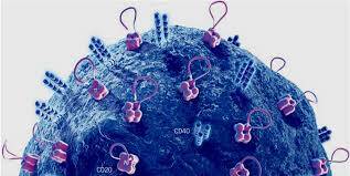 Ekstra Helmintler Bağışıklık Molekülleri