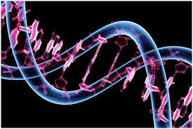Aşırı İlaç Kullanımı Kaynaklı Migren Ağrılarında Genetik Risk Faktörleri