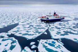 Grönland Denizinde Pan-Arktik Balıkçılık ve Çeşitleri
