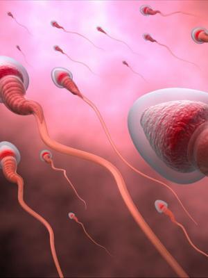 Gelecekte IVF (Tüp Bebek) Sonucunu İyileştirmek İçin Proteomikler