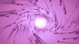 Gelecekte IVF (Tüp Bebek) Sonucunu İyileştirmek İçin Proteomikler