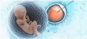 Yardımcı Üreme Sistemlerinde Proteomik Numune Hazırlama ve Yetiştirme