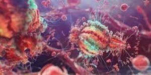 Akciğer Kanserinde (LC) Küçük RNA ve Kemoterapi Kombinasyonu