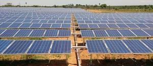 Agrofotovoltaik Enerji Nedir?