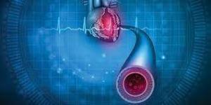 Büyüme Hormonu Eksikliği ve Kardiyovasküler Sistem