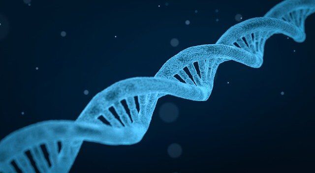 CRISPR Teknolojisi Nedir?