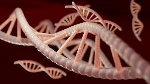 CRISPR Teknolojisi Nedir?