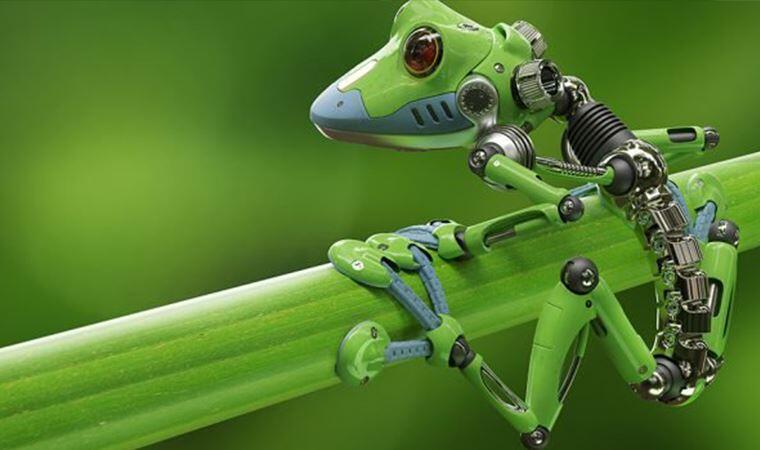 Xenobotlar: Kurbağa Hücrelerinden Yapılmış Yaşayan Robotlar