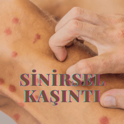 Kaşıntının Cilt, Hormonlar, Sinir Sistemi ve psikolojiyle İlgili Nedenleri