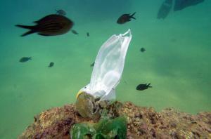 Salgın Plastik atıkların Okyanusa Sızma Tehlikesi