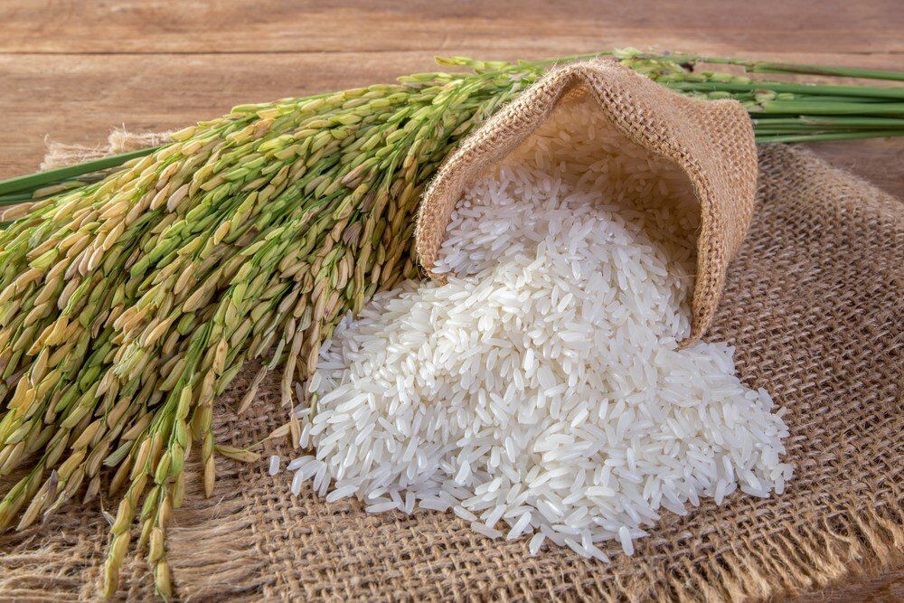 Pirinç Hastalıklarının Geleneksel Yollarla Tespiti