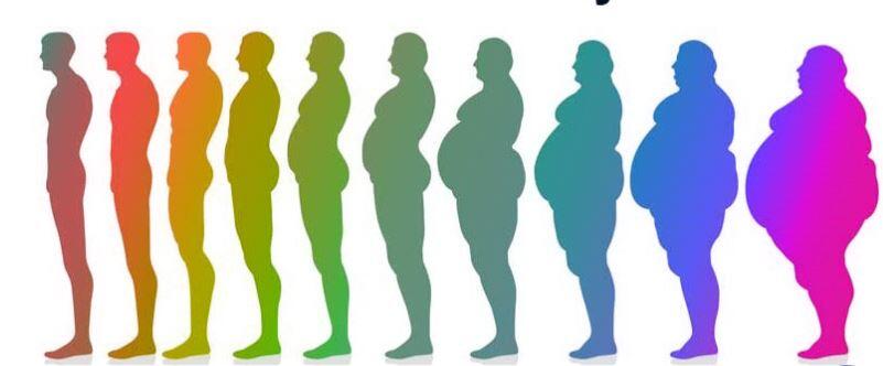 Nutrigenomik Obezite Riskini Düşürebilir mi?
