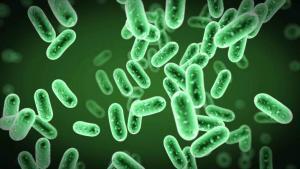 Antibiyotik Direnci Nedir? Türleri Ve Önleme Yolları
