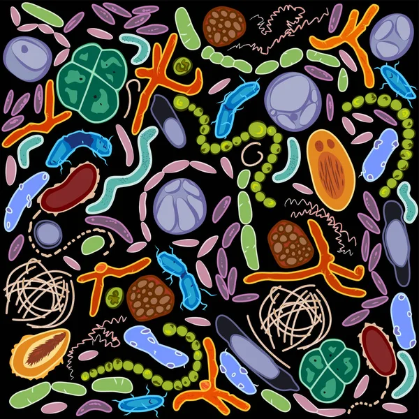 Hidrojen Oksitleyici Bakteriler: Tanımı, Özellikler ve Örnekler