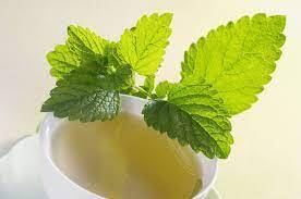 Gıda Endüstrisi İçin Lavanta ve Limon Balsamının Önemi