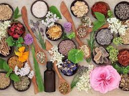 Baharat ve Bitkilerin Aktivitesi