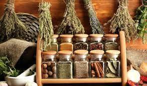 Baharat ve Bitkilerin Aktivitesi