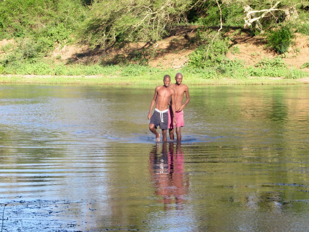 Phongolo (Pongolo) Nehrinde Yaşayan İstilacı ve Yabancı Su Türleri