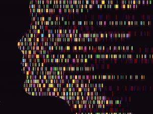 What is Genetics and Genomics?