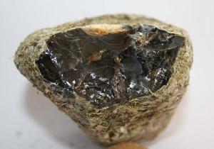 Yüzen Altın: Ambergris ya da Akamber