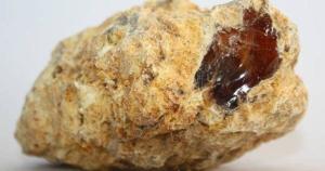 Yüzen Altın: Ambergris ya da Akamber