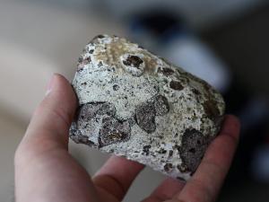 Yüzen Altın: Ambergris ya da Akamber