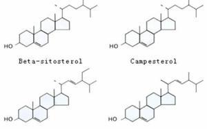 Bitki Sterolleri (Fitosteroller) ve Sağlık Üzerindeki Etkileri