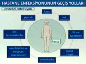 Sağlık Hizmetleriyle İlişkili En Yaygın Enfeksiyon Türleri