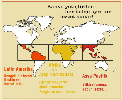 Kahvede Küf Bulunur Mu? Küf Sağlığa Zararlı Mıdır, Nasıl Önlenebilir?