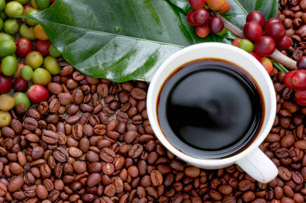 Kona Kahvesi: Bir Hawaii Lezzeti