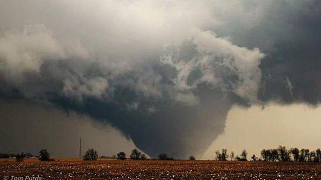 Hortum (Tornado) Çeşitleri, Hortumlarla İlgili Gerçekler, Rüzgâr ve Ateş Girdapları