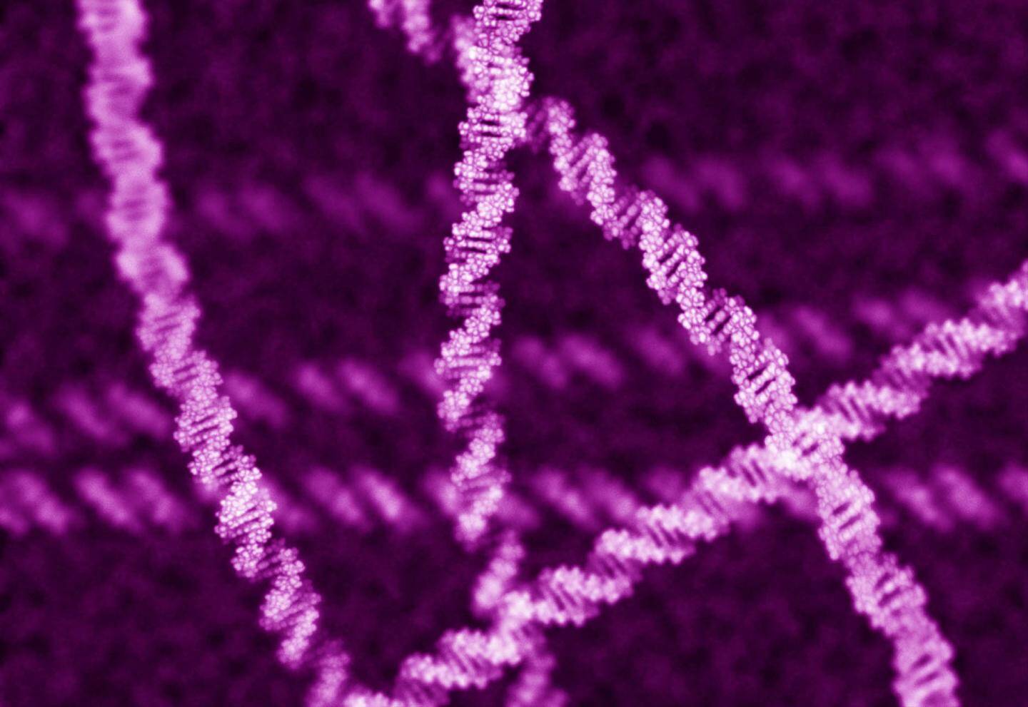 Genom Veritabanı Nedir?