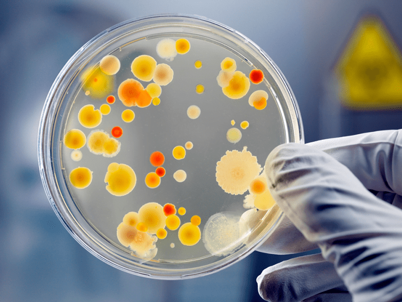 Antibakteriyel ve Antimikrobiyal Nedir, Aralarındaki Temel Farklar Nelerdir?