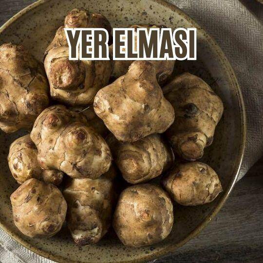 Yer elmasının (Kudüs Enginarı) Kökeni, Özellikleri, Besin Değerleri, Sağlığa Faydaları ve Yan Etkileri