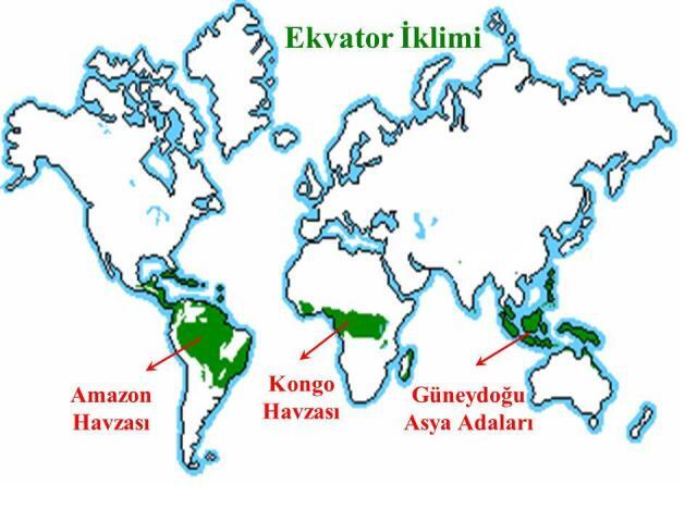 Dünyanın En Büyük 20 Ormanı, Ekolojik Önemleri ve Benzersiz Özellikleri