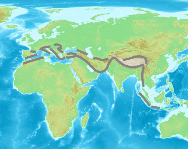 Dağlar ve Alpin (Yüksek İrtifa) Yaşam Kuşakları