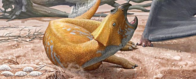 Minioolithus ganzhouensis: Gizemli Dinozor Yumurta Türü Hakkında Bilmeniz Gerekenler
