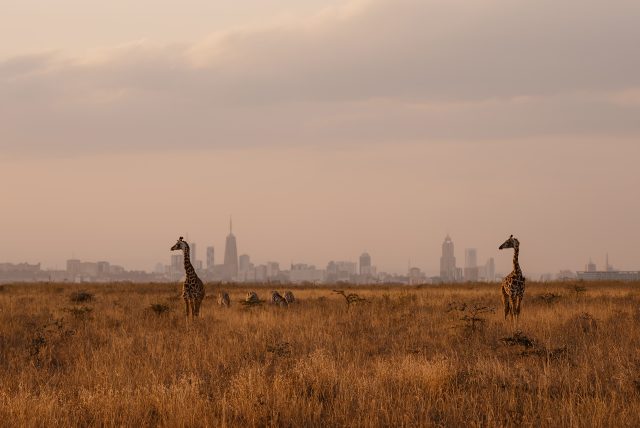 İnovasyon Şehri Nairobi Nasıl Bir Yerdir?