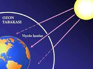 Oksijenin Allotropları: Oksijen Gazı ve Ozon
