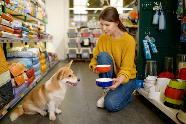 Petshop Açmak İsteyenler İçin Kapsamlı Rehber